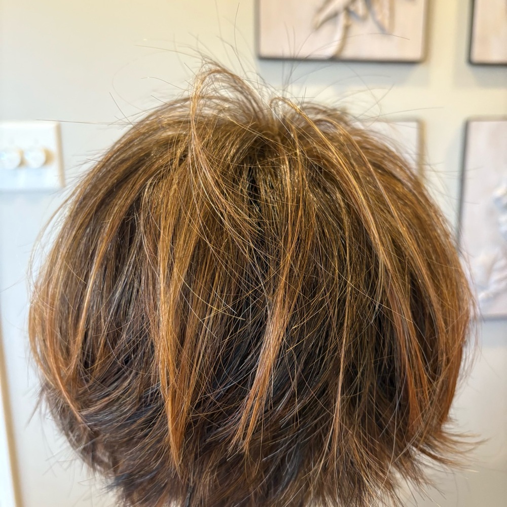 Hairdo Textured Fringe Bob Wig in Glazed Hazelnut Brand New(READ) - Picture 9 of 15